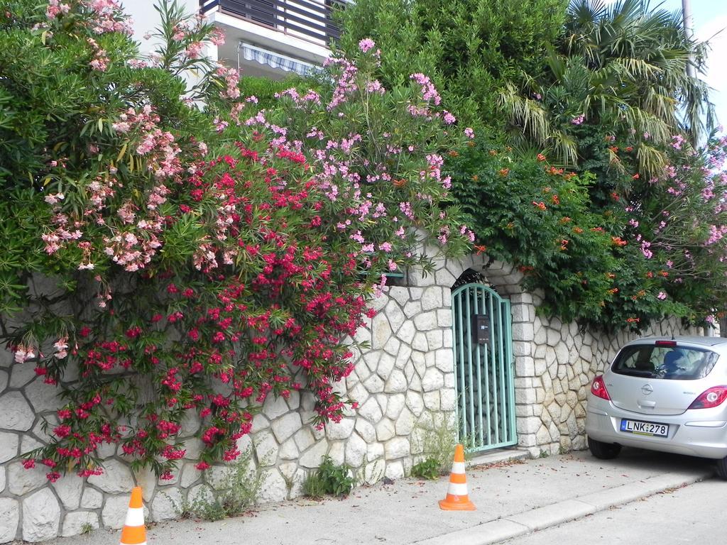 Apartments Katalenic Selce Dış mekan fotoğraf
