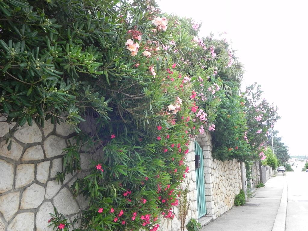 Apartments Katalenic Selce Dış mekan fotoğraf