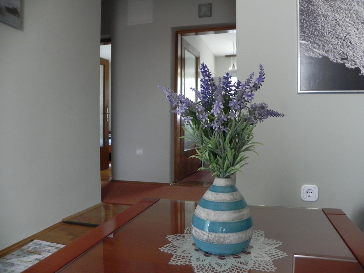 Apartments Katalenic Selce Dış mekan fotoğraf